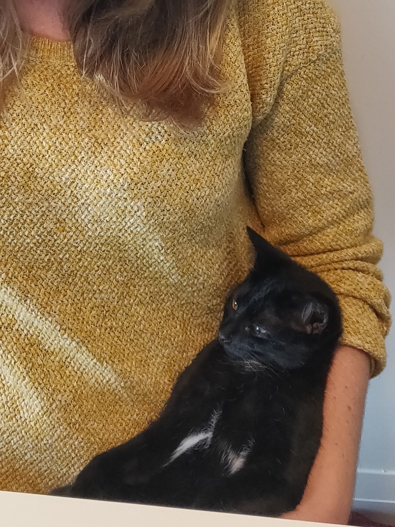 a black kitten cradled in jenny's arms