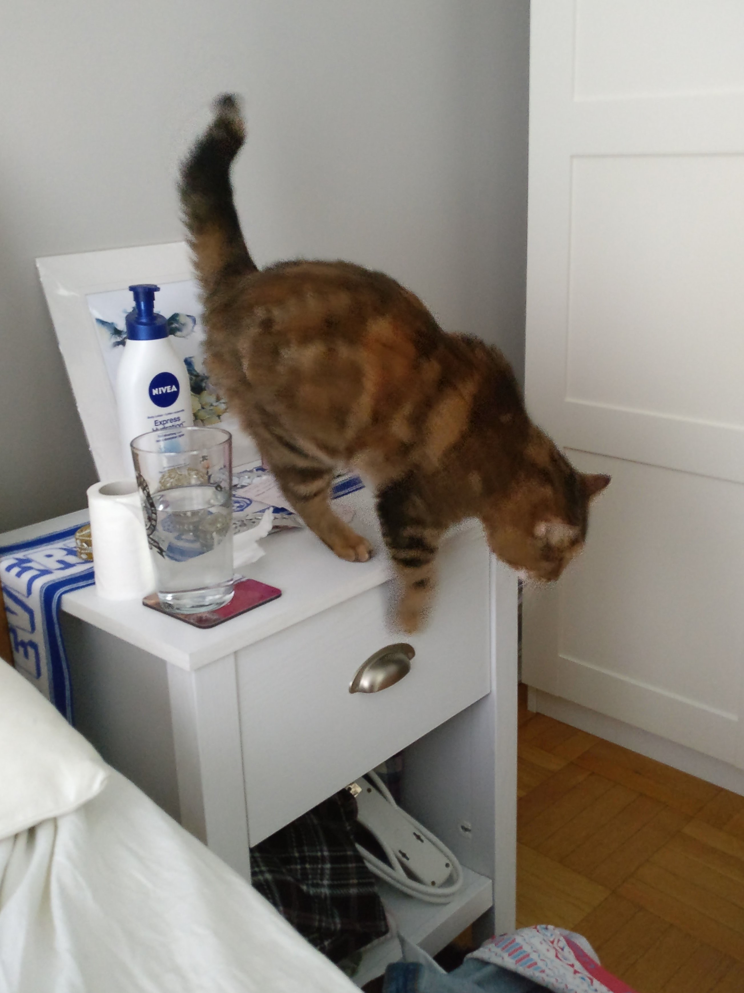 a tabby cat jumping off a bed side table